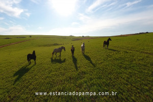 OS ARAGANOS   HERANÇAS 1984.00_02_54_09.Quadro019_dcb7f50f6e3e55d6ded2f61ddcb84922ab4be86b.jpg